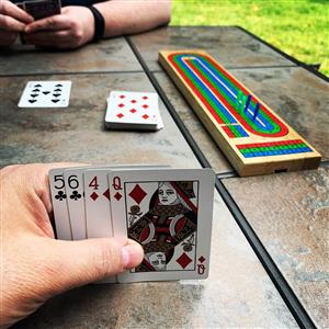 cribbage board 